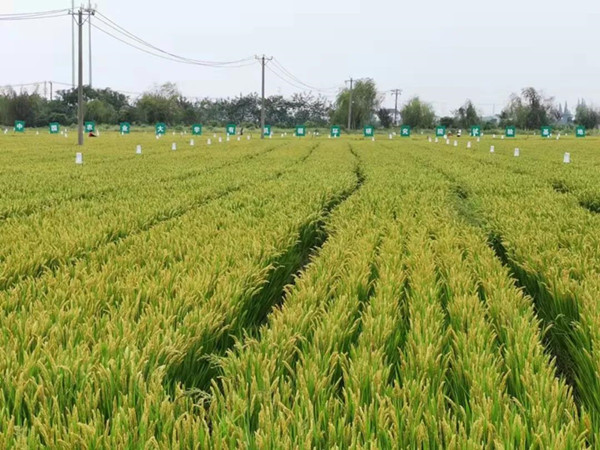 環(huán)太湖有機廢棄物處理